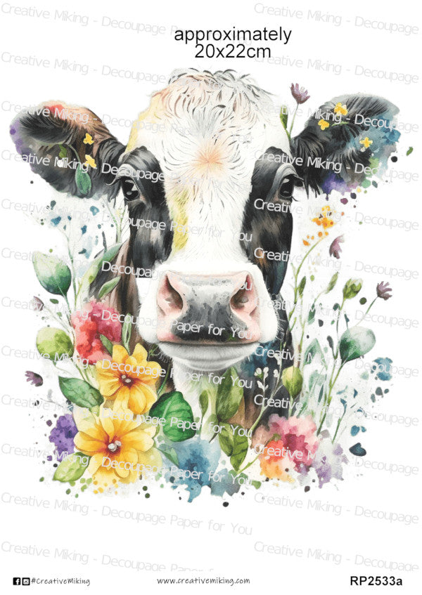 Cows