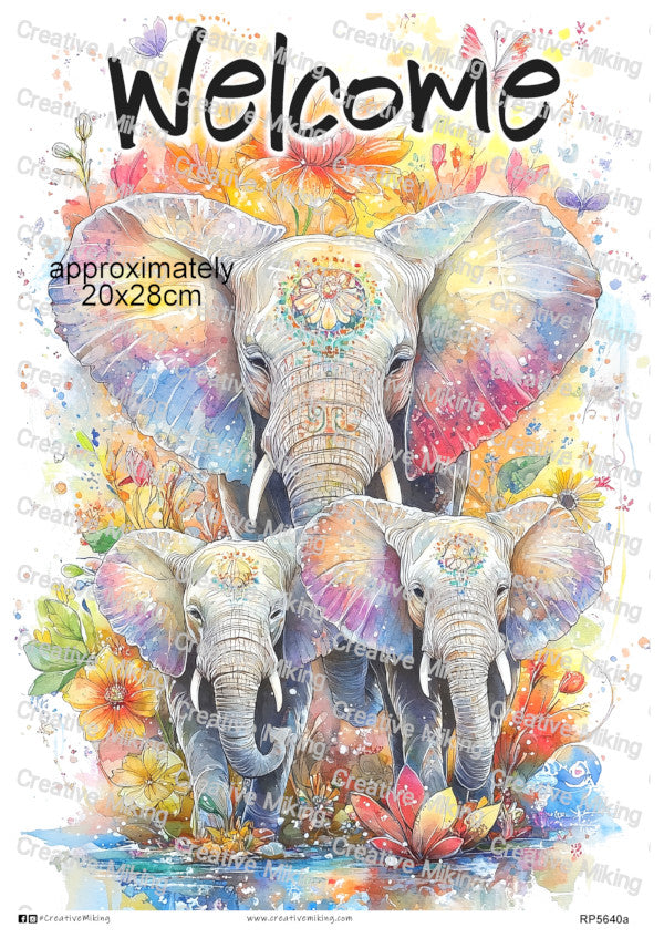 Elephants Collection