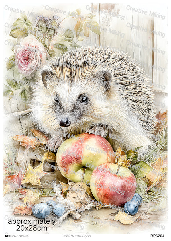 Hedgehogs Collection