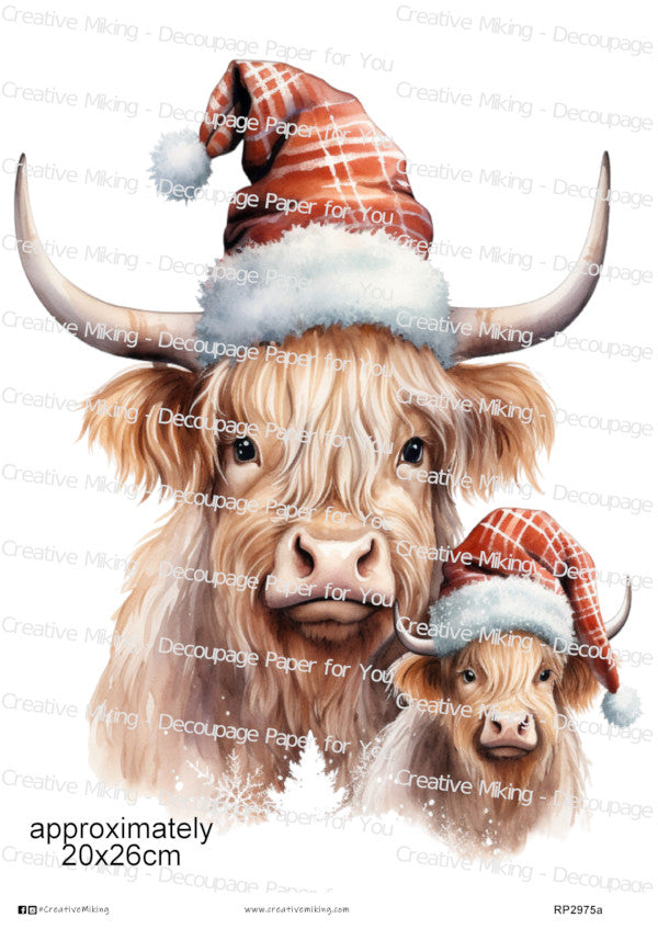 Christmas Cows