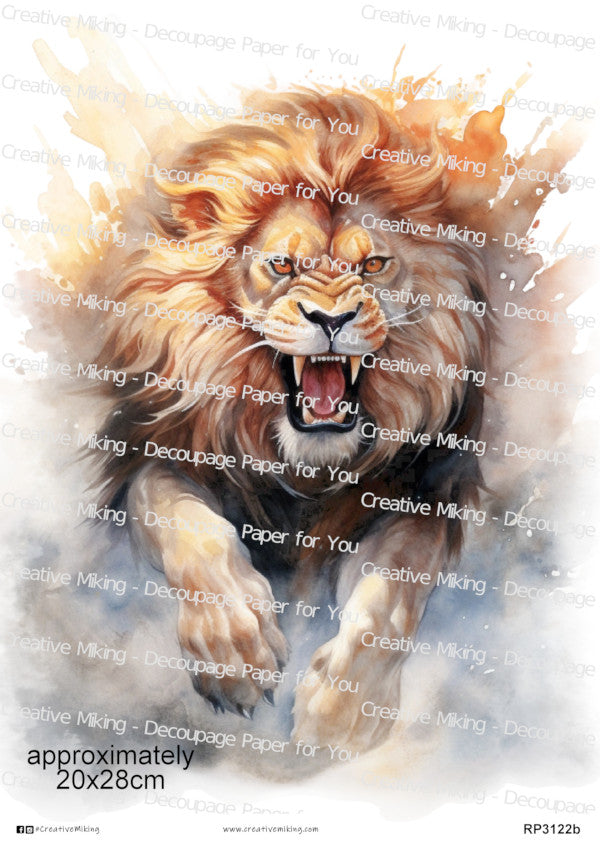 Lions Collection