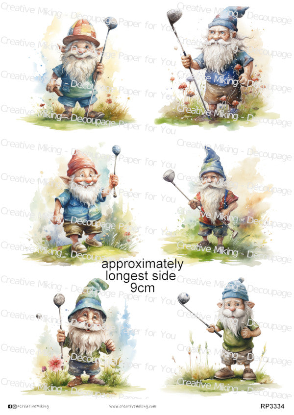 Sport Gnomes