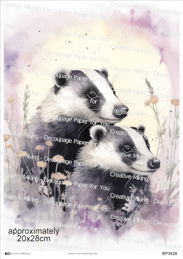 Badgers Collection