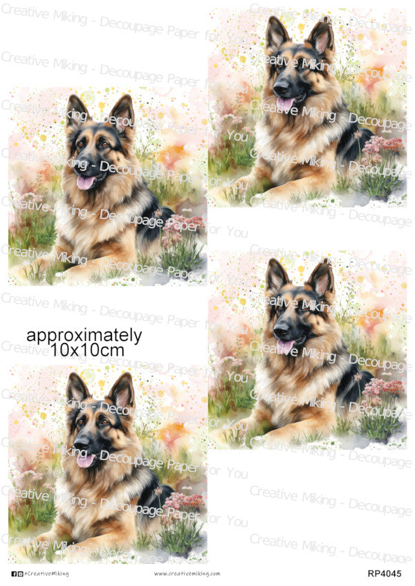 Dogs 10x10cm Coaster Size Collection