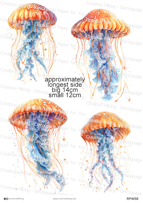 Octopus & Jellyfish Collection