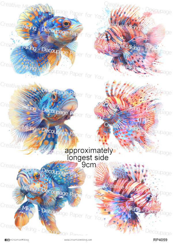 Fish & Koi