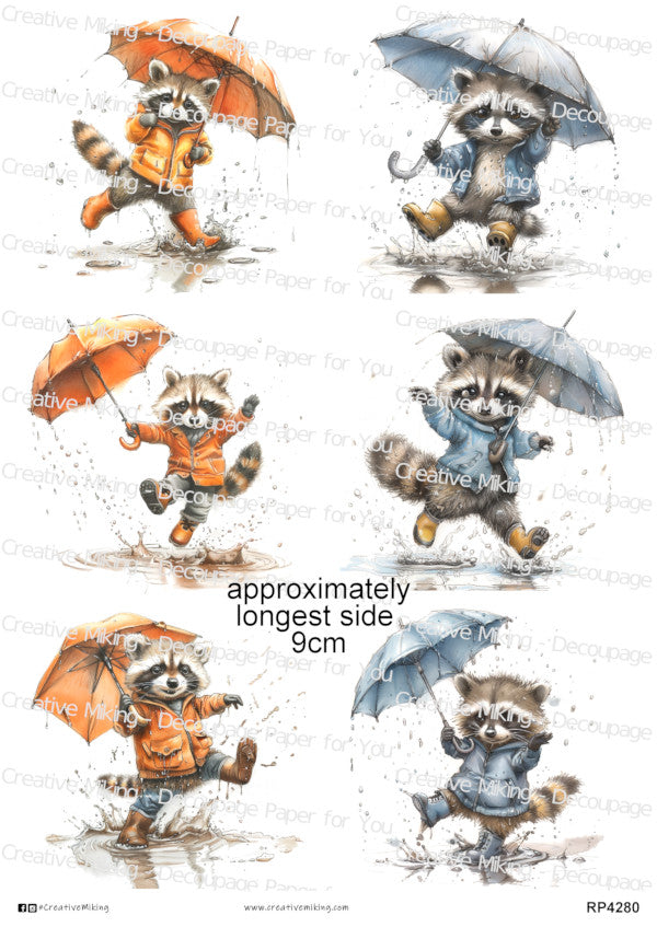 Raccoons Collection