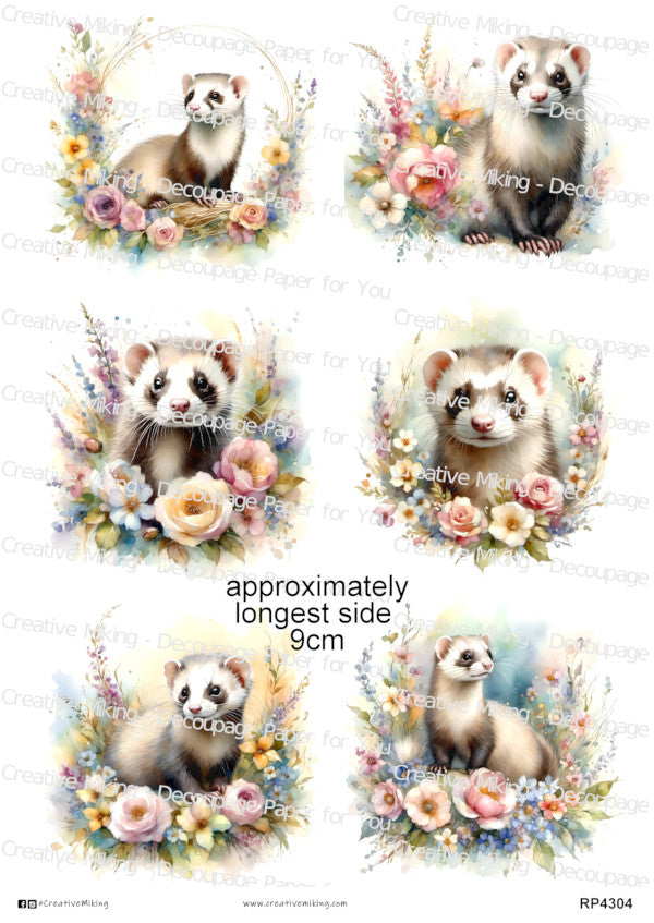 Ferrets Collection