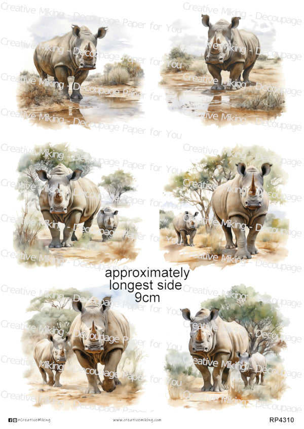Rhinos Collection