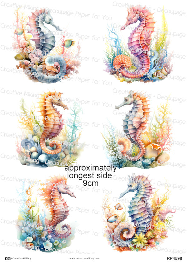 Seahorses & Starfish Collection