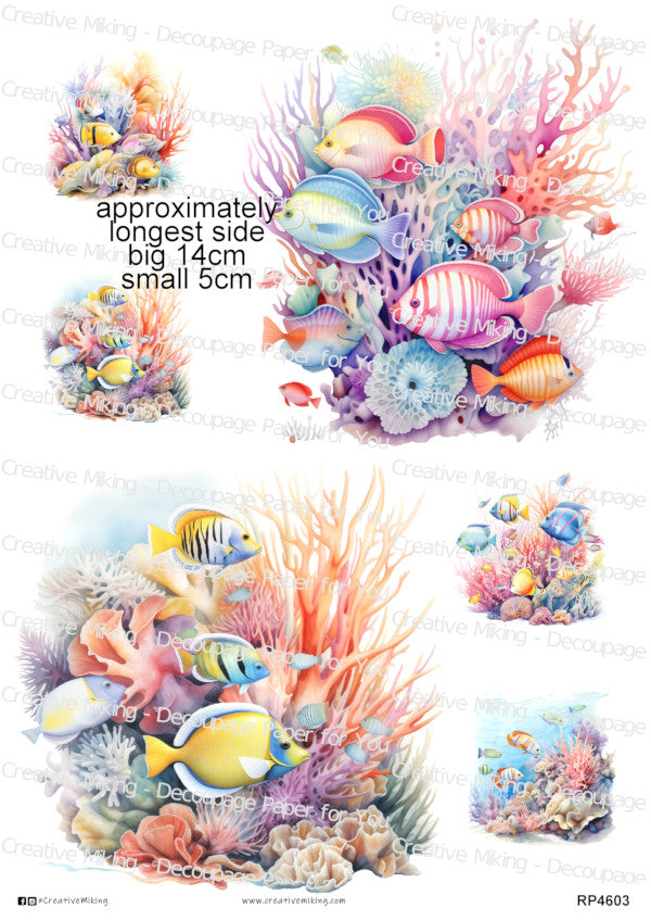Sea Fish