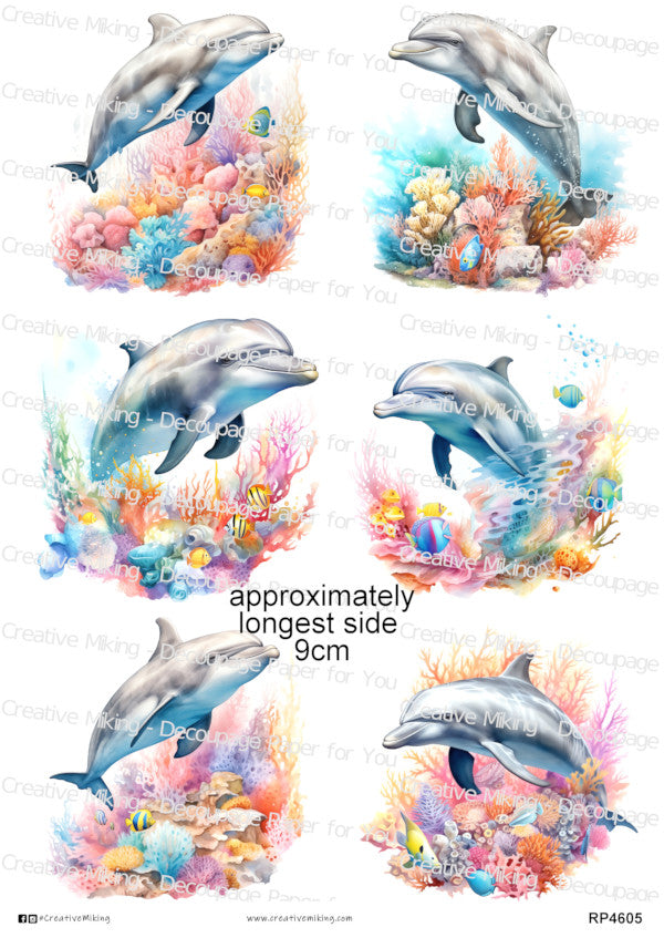 Dolphins & Whales