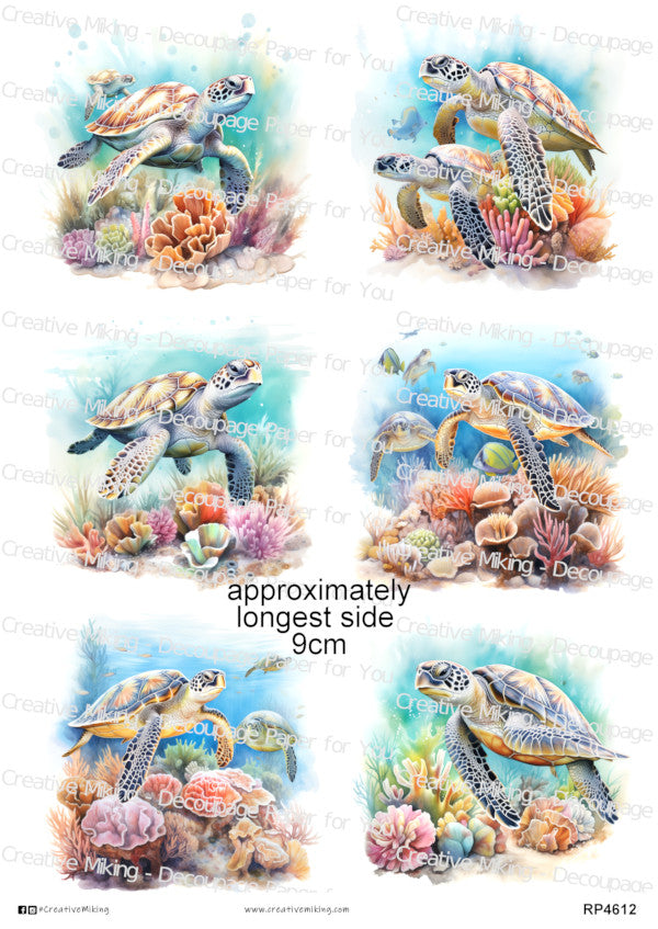 Sea Turtle