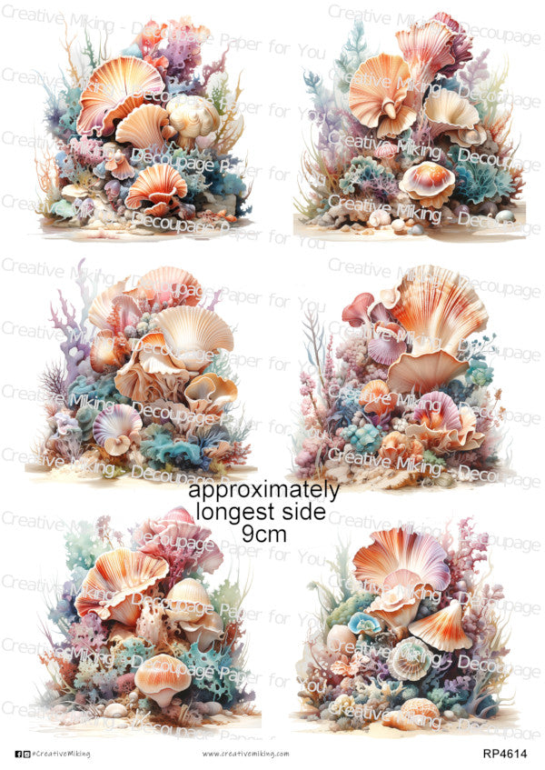 Coral Reef & Underwater