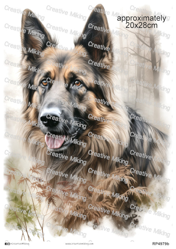 Collies & Sheepdogs Collection