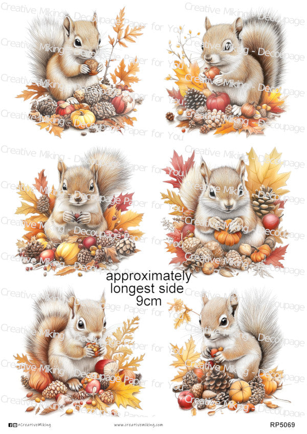 Squirrels Collection