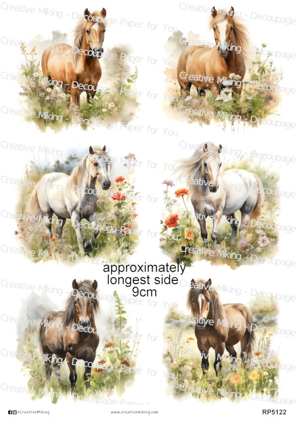 Pony