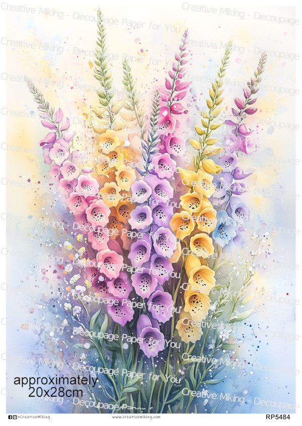 Foxglove