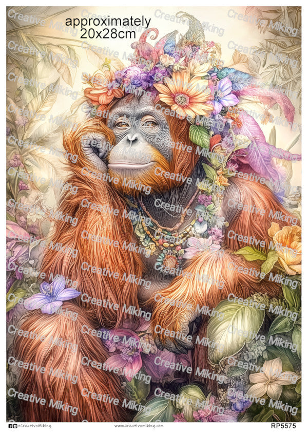 Gorillas, Orangutans & Monkeys Collection