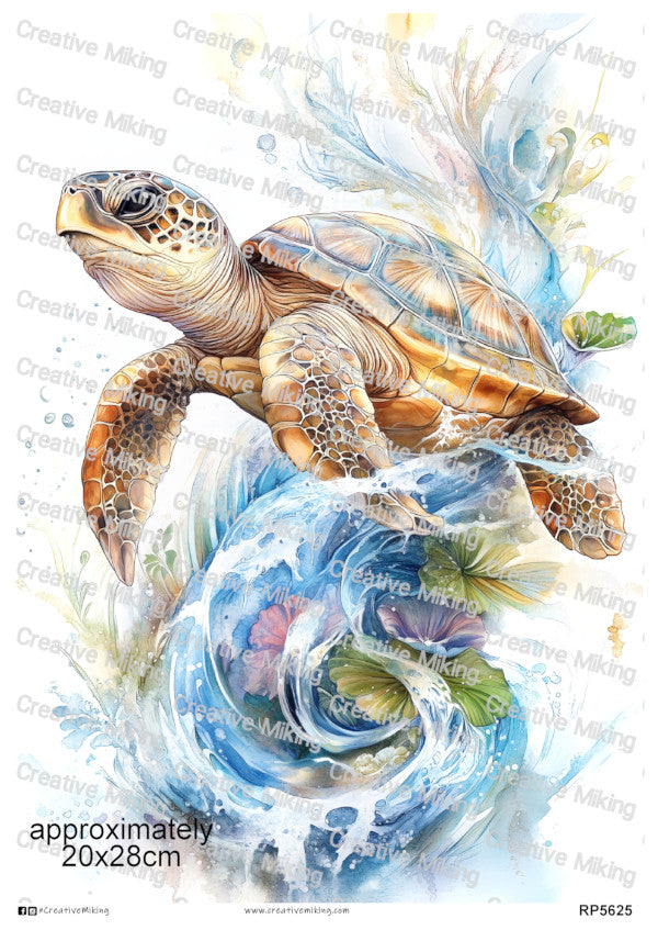 Turtles & Tortoises