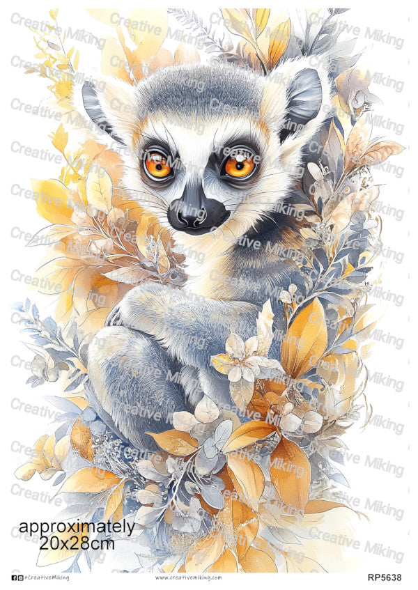Lemurs Collection