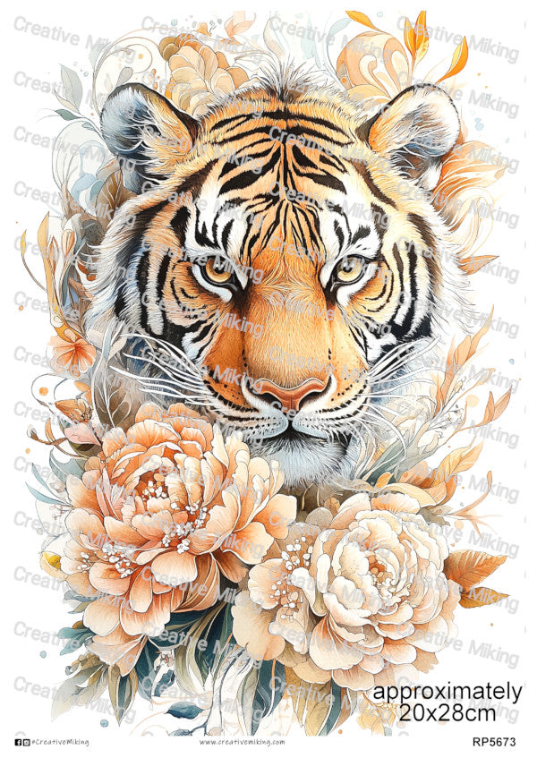 Tigers Collection