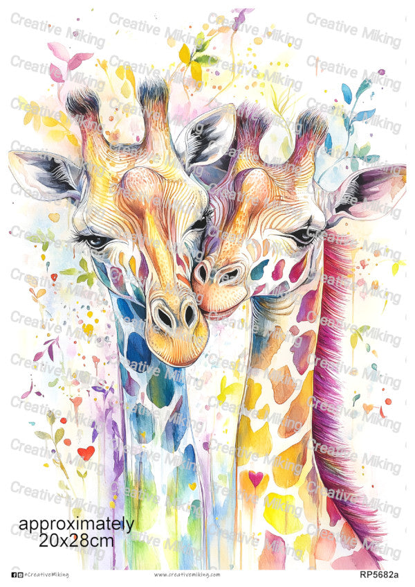 Giraffes Collection
