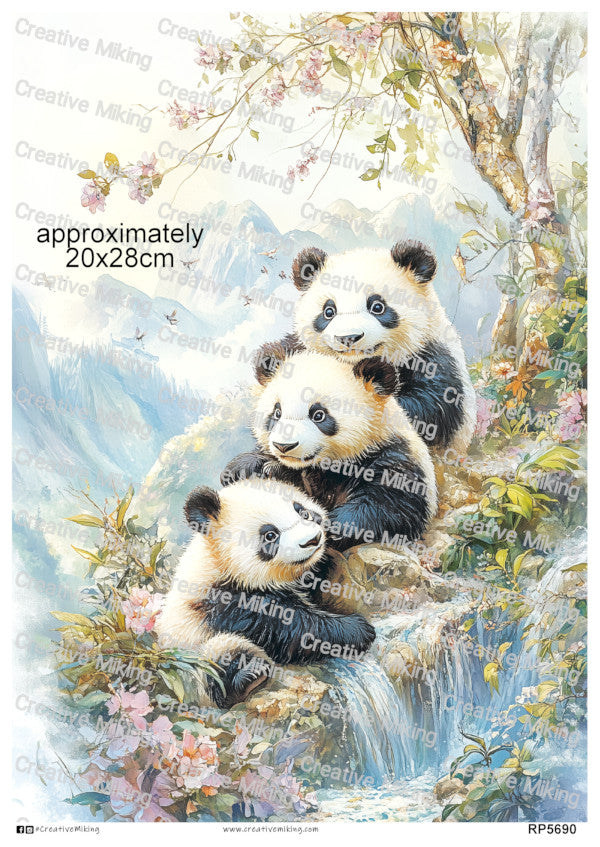Pandas Collection