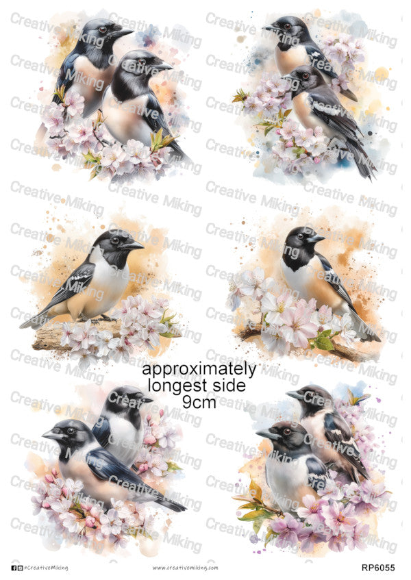 Magpie