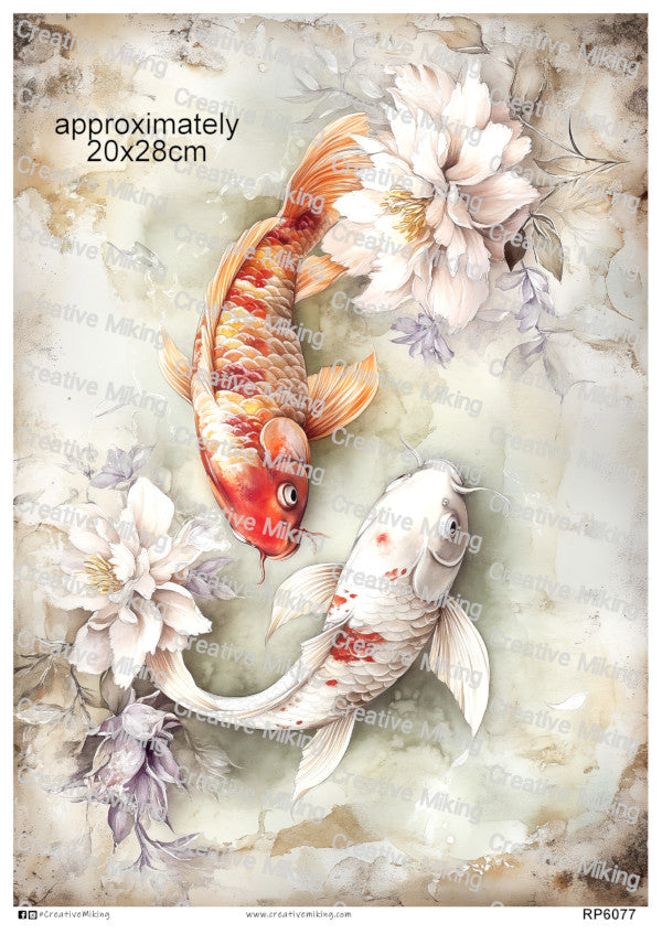 Koi Carp