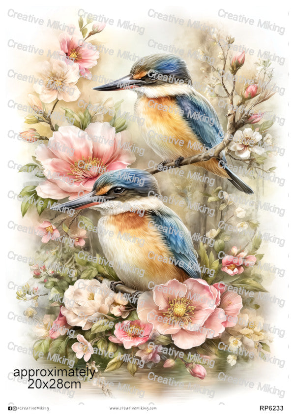 Robins & Garden Birds Collection