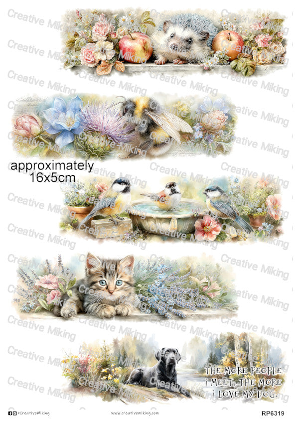 Oblong 16x5cm Collection