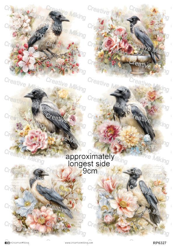 Crow
