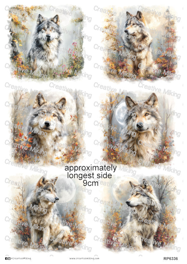 Wolves Collection