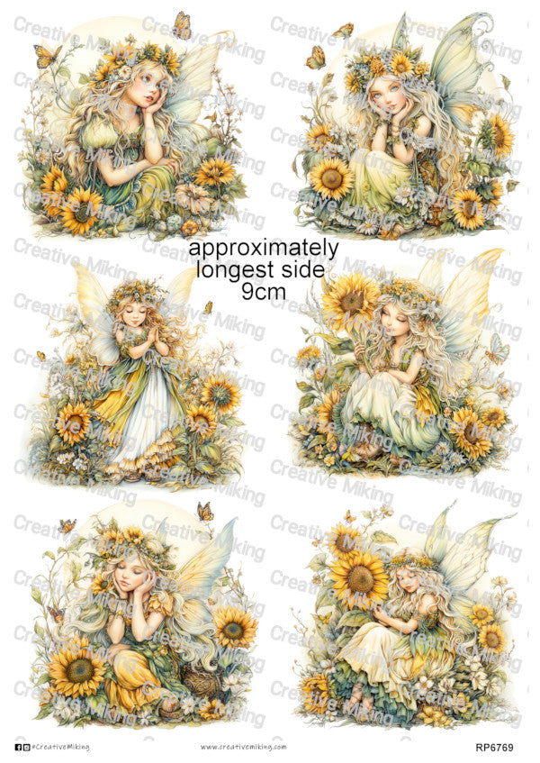 Fairy