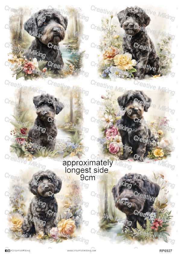 Schnoodle