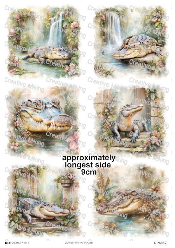 Crocodile
