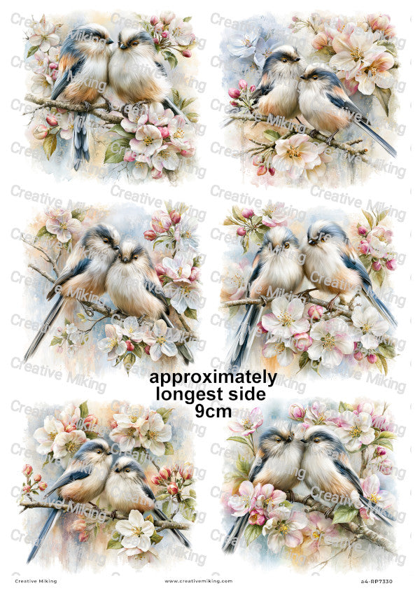 Long-Tailed Tit Birds Collection