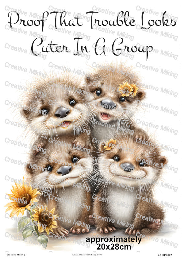 Otters Collection