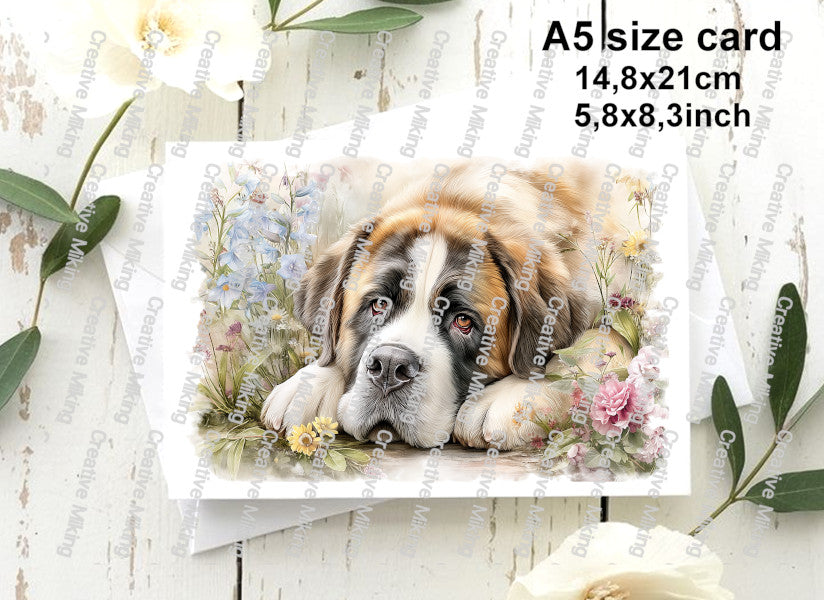 DOG033 - Saint Bernard