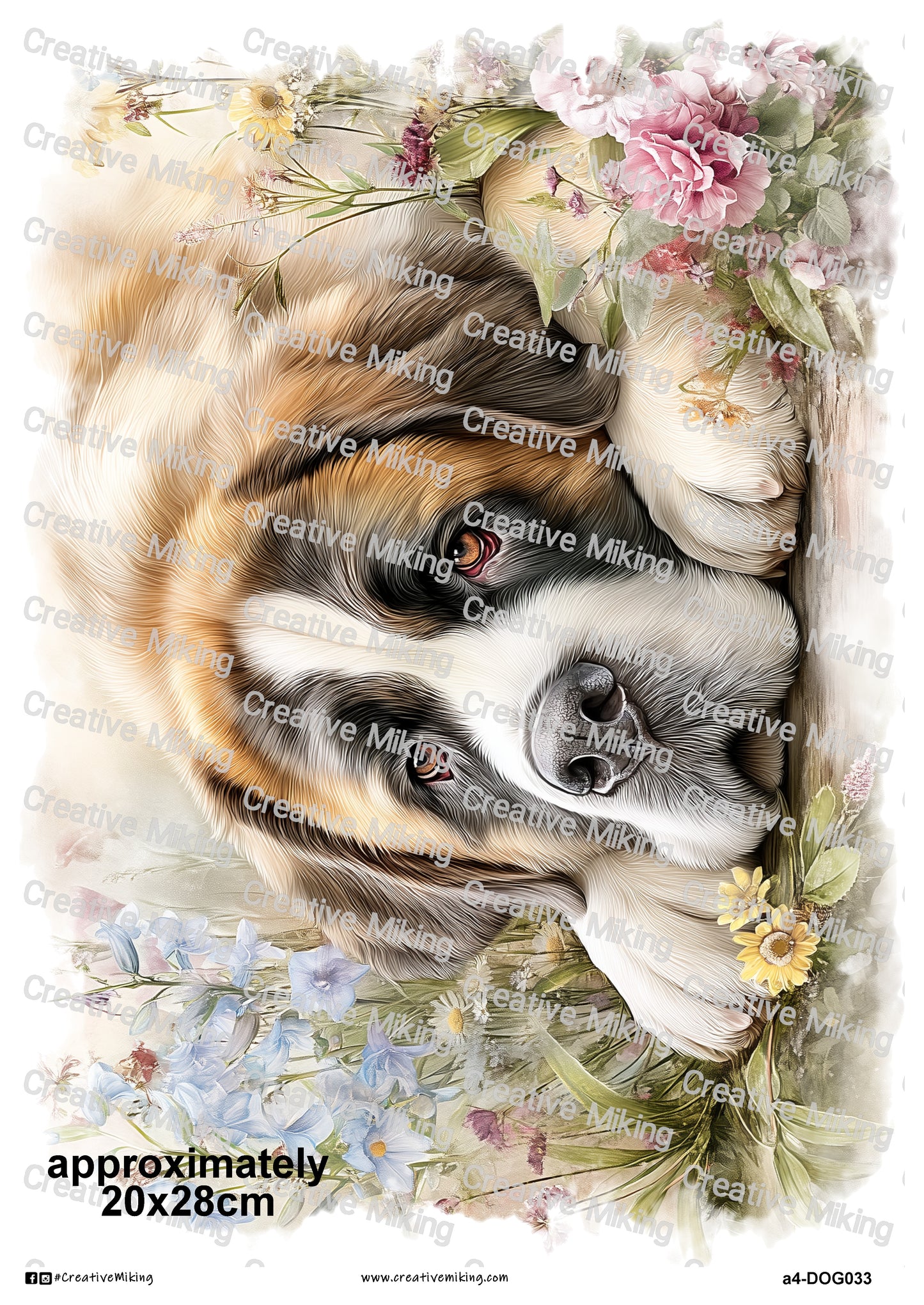 DOG033 - Saint Bernard