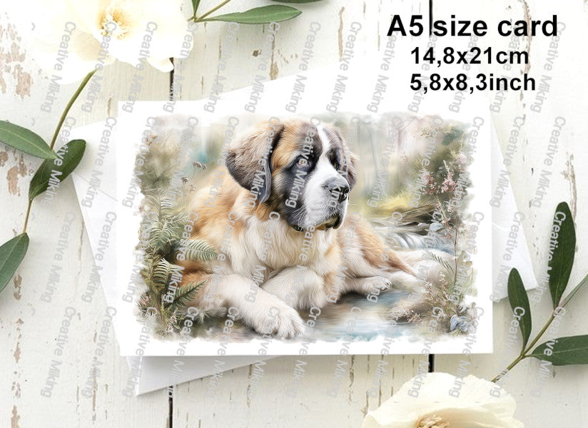 DOG034 - Saint Bernard