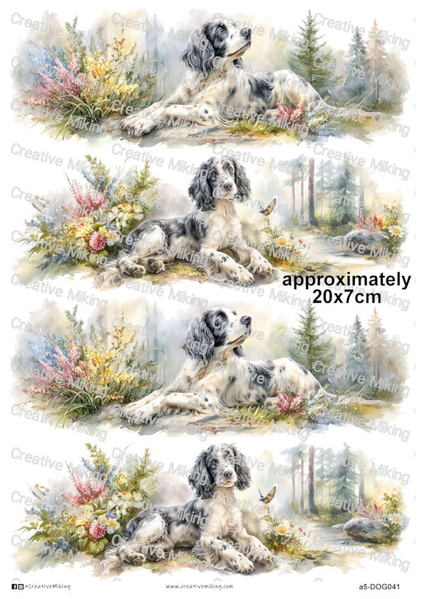 DOG041 - Cocker Spaniel