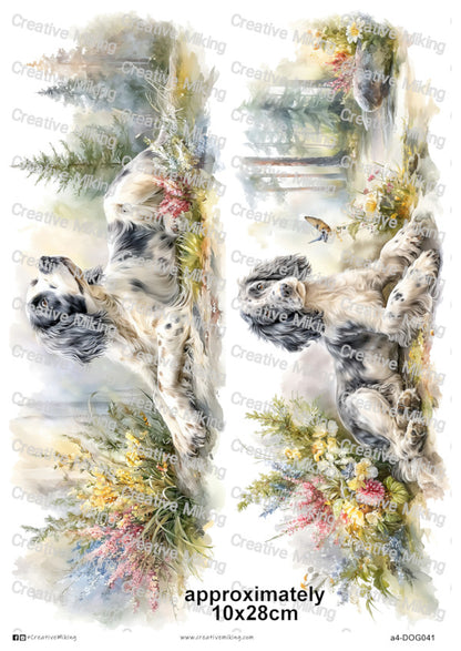 DOG041 - Cocker Spaniel