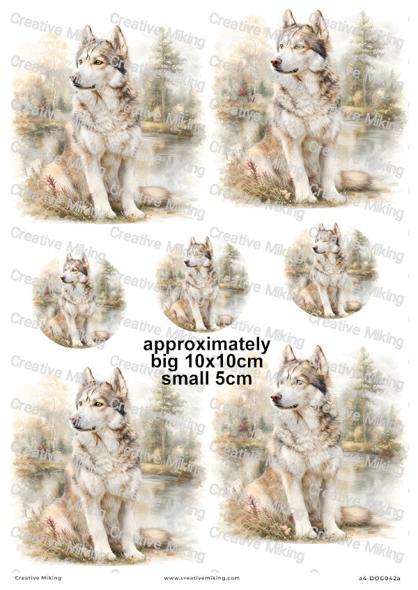 Husky Dog by the Lake Decoupage Rice Paper | DOG042a
