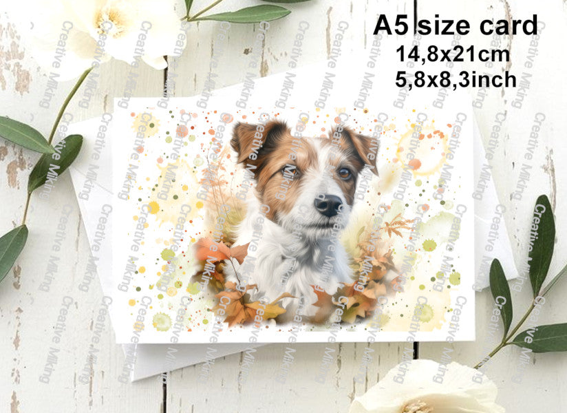 DOG044 - Jack Russell