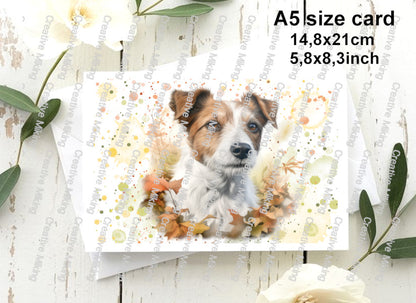 DOG044 - Jack Russell