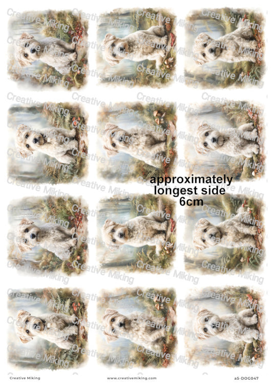 Westiepoo Dog Decoupage Paper | DOG047