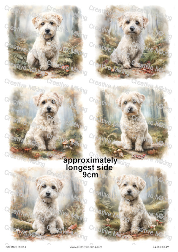 Westiepoo Dog Decoupage Paper | DOG047