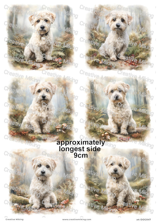 Westiepoo Dog Decoupage Paper | DOG047